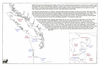 ame16 gray 1792_thumb.gif